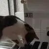JB - @janetdevine - TikTok