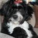 Janet Devitt - Facebook