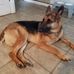 Janet Devitt - Facebook
