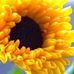 Janet DeVries - Facebook