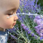 Janet Dickman - @dickman3147 - Instagram