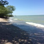 Janet Grosdidier - @janetgrosdidier - Instagram