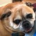 Janet Dillingham - Facebook