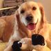 Janet Dillingham - Facebook