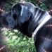 Janet LaRocque Destefano - Facebook