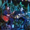 Jane Doak - @janeguitar - TikTok