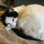 Janet A Doerr - @jdoerr_art - Instagram