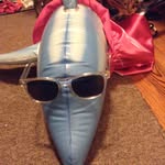 Janet - @janet_the_river_dolphin - Instagram