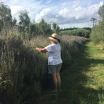 Janet Doolan - @janet_doolan - Instagram