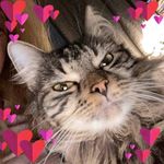 Janet Mannino Doolan - @janetmanninodoolan - Instagram