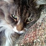 Janet Doolittle - @janet.doolittle.9 - Instagram