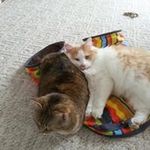 janet doolittle - @janetdoolittle - Instagram