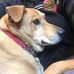 Janet Payne Downs - Facebook