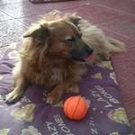 janet dudding - @duddingjanet - Instagram