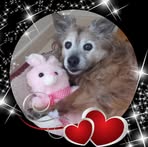 Janet Dudding - Facebook