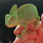 Janet Dugger - @thefirstpinklady - Instagram