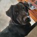 Janet Dugger - Facebook