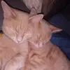 Janet Dugger - @janet.dugger - TikTok