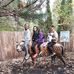 Janet Dulaney - Facebook
