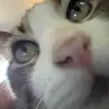 janetduley - @janetduley - TikTok