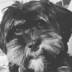 Jane Dunkley - @dunkley82 - Instagram