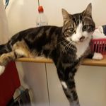 Janet Dunkley - @janet.dunkley.3194 - Instagram