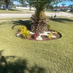 Janet - @janetdunphy5 - Instagram