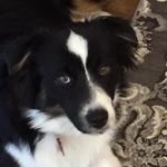 Janet Dupree Cook - @janetdupreecook - Instagram