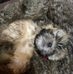 Janet Durrance - Facebook