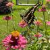 Janet Duvall - Facebook