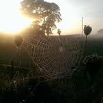 Janet Dyson - @jd001100 - Instagram