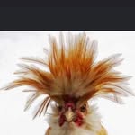 Janet Dyson - @chrisdyson1957 - Instagram