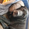 user2578606857242 - @janet_dyson1970 - TikTok