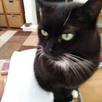 Janet Eade - Facebook