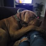Janet Eadens - @janeteadens - Instagram