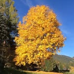 Janet Eades - @eades4977 - Instagram