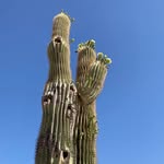 Janet R. Eagan - @janetr.eagan - Instagram