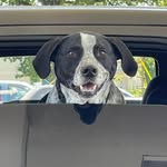 Janet Eagleston - @janeteagleston - Instagram