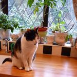 Janet Earle - @janetearle1 - Instagram