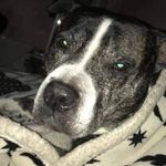 Janet Earley - @janet.earley.167 - Instagram