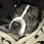 Janet Earley - @janet.earley.167 - Instagram