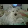 Janet Eason - @tessmom712 - TikTok
