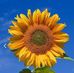 Janet Easterling - Facebook