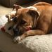 Janet Eberle - Facebook