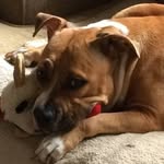 Janet Eberle - @eberle4568 - Instagram