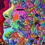 Janet Eckhardt - @janet_eckhardt - Instagram