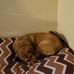 Janet Eckhardt - Facebook