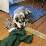 Janet Eckhardt - @janeteckhardt - Instagram