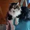 Janet Eckler-Lüdicke - @user9udw5oj8w5 - TikTok