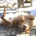 Janet Eggert - Facebook